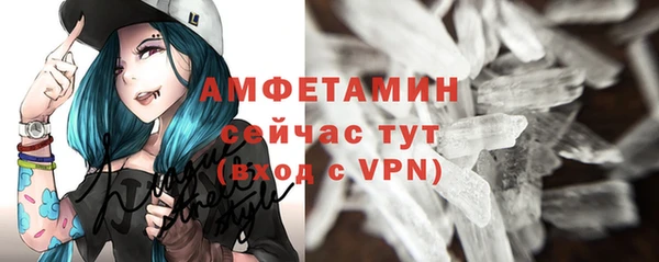 шишки Белоозёрский