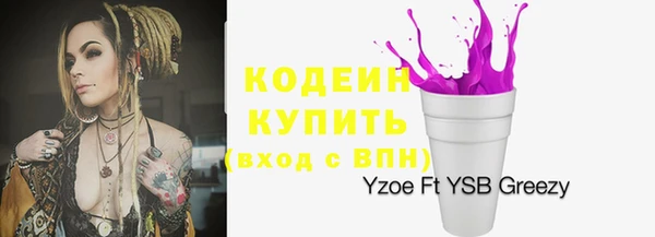 шишки Белоозёрский