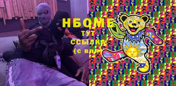шишки Белоозёрский