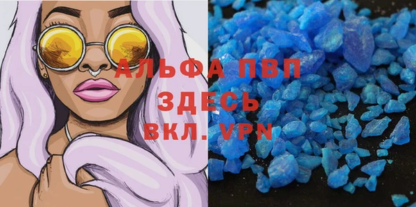 молекула духа Белокуриха
