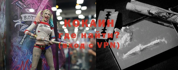 шишки Белоозёрский