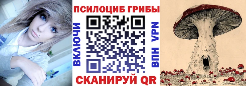 Псилоцибиновые грибы мицелий  Гороховец 